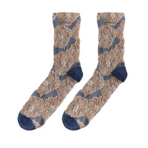 11899204246 618810677