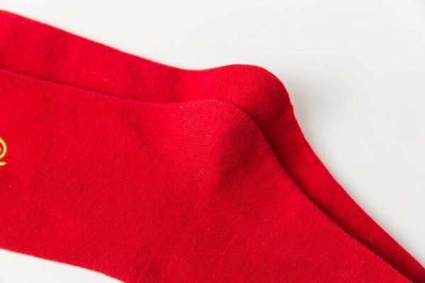 小圖案卡通賀年襪禮盒 020